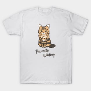 Patiently Waiting Cat T-Shirt